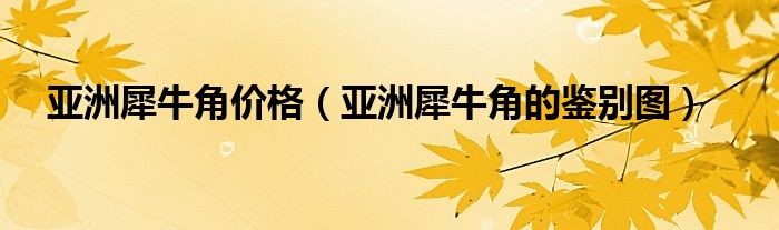 亚洲犀牛角价格(亚洲犀牛角的鉴别图)