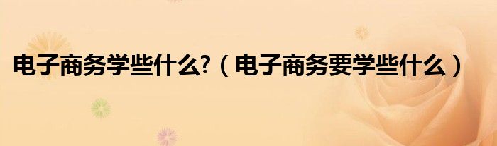 电子商务学些什么?(电子商务要学些什么)