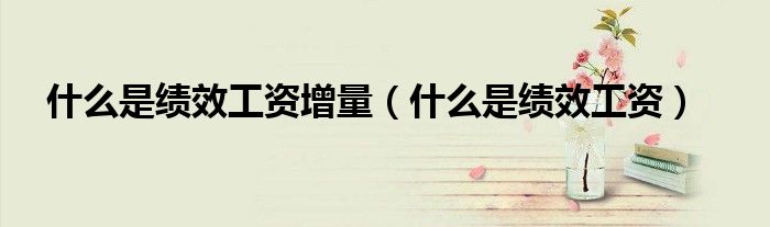 什么是绩效工资增量(什么是绩效工资)