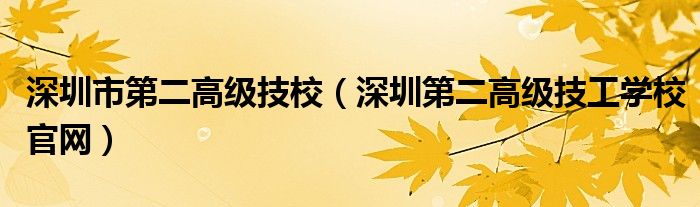 深圳市第二高级技校(深圳第二高级技工学校官网)