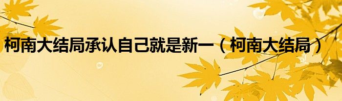 柯南大结局承认自己就是新一(柯南大结局)