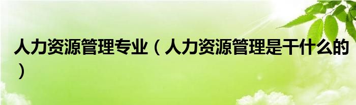 人力资源管理专业(人力资源管理是干什么的)