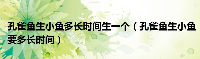 孔雀鱼生小鱼多长时间生一个(孔雀鱼生小鱼要多长时间)