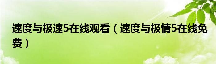 速度与极速5在线观看(速度与极情5在线免费)