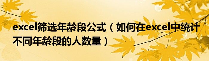 excel筛选年龄段公式(如何在excel中统计不同年龄段的人数量)