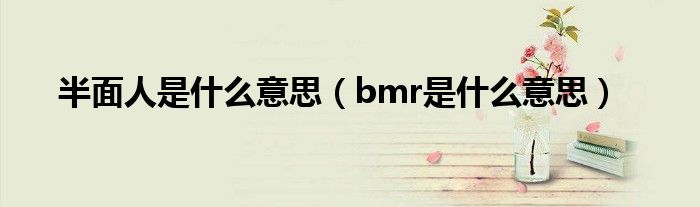 半面人是什么意思(bmr是什么意思)