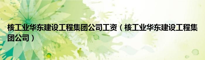 核工业华东建设工程集团公司工资(核工业华东建设工程集团公司)