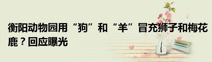 衡阳动物园用“狗”和“羊”冒充狮子和梅花鹿?回应曝光