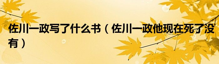 佐川一政写了什么书(佐川一政他现在死了没有)