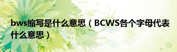 bws缩写是什么意思(BCWS各个字母代表什么意思)