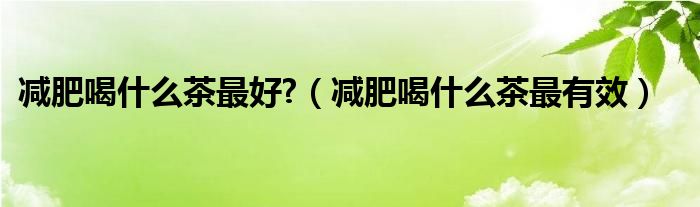 减肥喝什么茶最好?(减肥喝什么茶最有效)