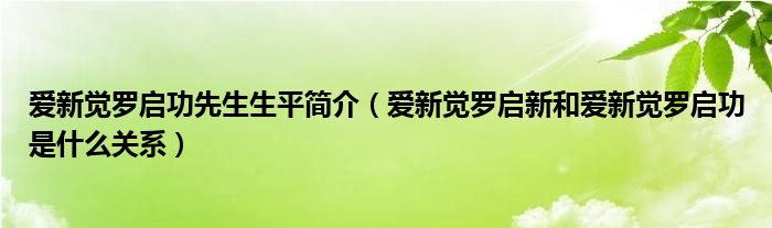 爱新觉罗启功先生生平简介(爱新觉罗启新和爱新觉罗启功是什么关系)