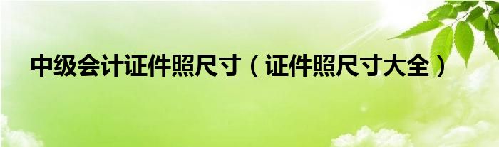 中级会计证件照尺寸(证件照尺寸大全)