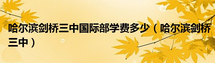 哈尔滨剑桥三中国际部学费多少(哈尔滨剑桥三中)