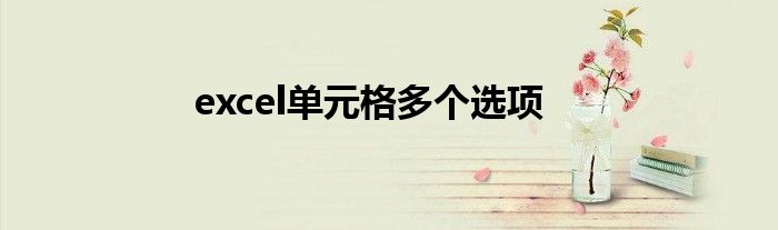 excel单元格多个选项
