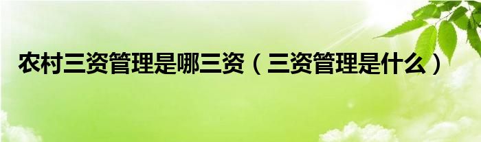 农村三资管理是哪三资(三资管理是什么)