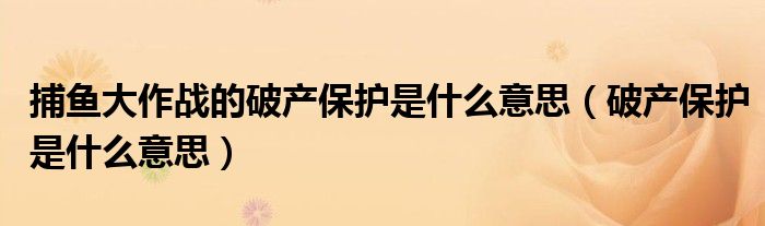捕鱼大作战的破产保护是什么意思(破产保护是什么意思)