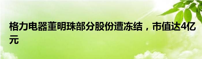 格力电器董明珠部分股份遭冻结,市值达4亿元