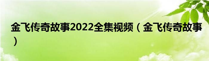 金飞传奇故事2022全集视频(金飞传奇故事)