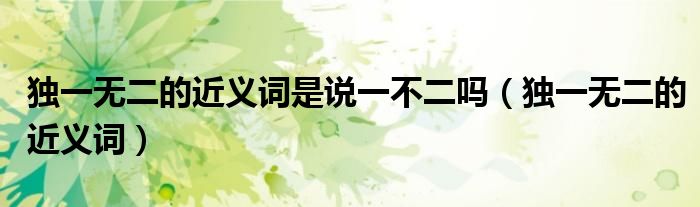 独一无二的近义词是说一不二吗(独一无二的近义词)