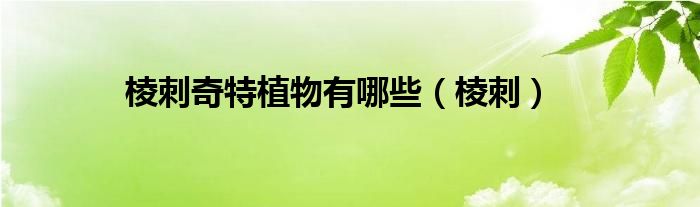 棱刺奇特植物有哪些(棱刺)