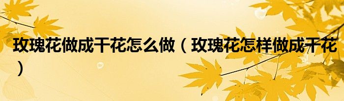玫瑰花做成干花怎么做(玫瑰花怎样做成干花)