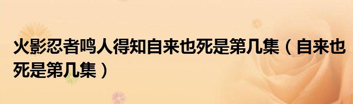 火影忍者鸣人得知自来也死是第几集(自来也死是第几集)