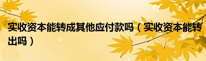 实收资本能转成其他应付款吗(实收资本能转出吗)