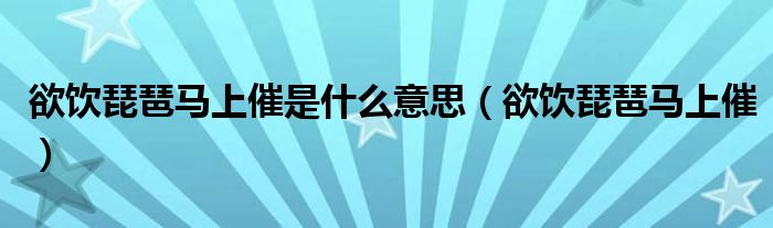 欲饮琵琶马上催是什么意思(欲饮琵琶马上催)