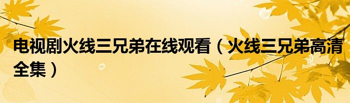 电视剧火线三兄弟在线观看(火线三兄弟高清全集)