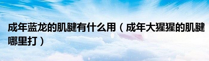 成年蓝龙的肌腱有什么用(成年大猩猩的肌腱哪里打)