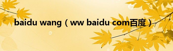 baidu wang(ww baidu com百度)