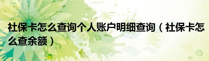 社保卡怎么查询个人账户明细查询(社保卡怎么查余额)