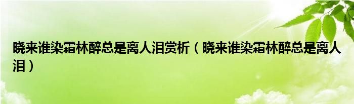晓来谁染霜林醉总是离人泪赏析(晓来谁染霜林醉总是离人泪)