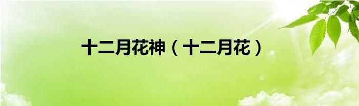 十二月花神（十二月花）