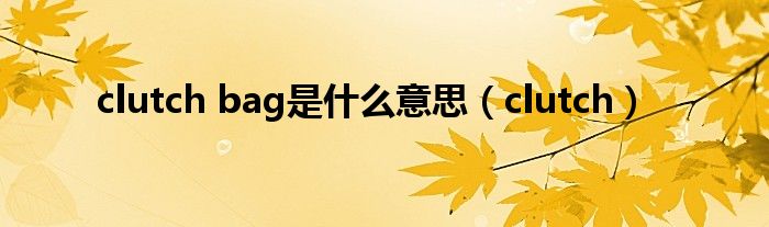 clutch bag是什么意思(clutch)
