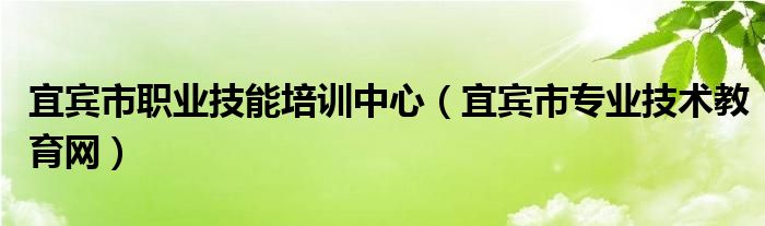 宜宾市职业技能培训中心(宜宾市专业技术教育网)