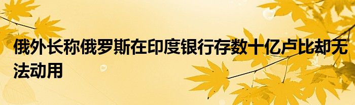 俄外长称俄罗斯在印度银行存数十亿卢比却无法动用
