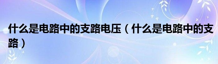 什么是电路中的支路电压(什么是电路中的支路)