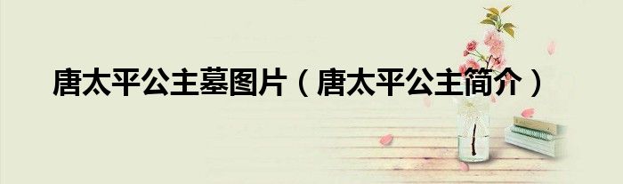 唐太平公主墓图片(唐太平公主简介)