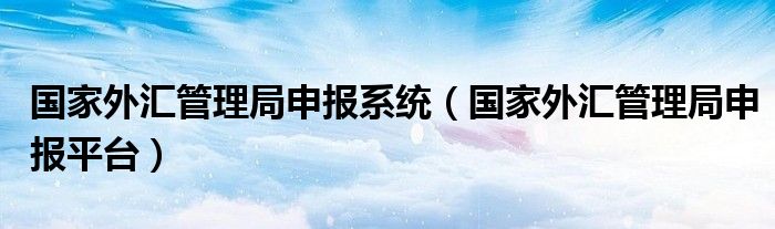国家外汇管理局申报系统(国家外汇管理局申报平台)