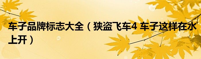 车子品牌标志大全(狭盗飞车4 车子这样在水上开)