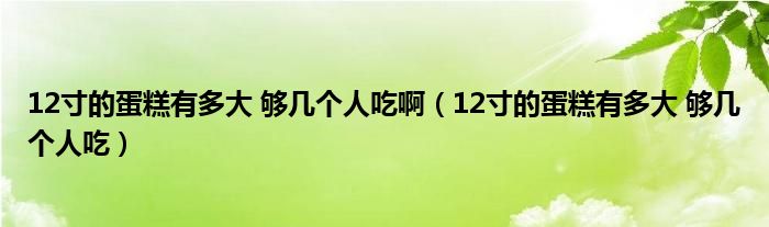 12寸的蛋糕有多大 够几个人吃啊(12寸的蛋糕有多大 够几个人吃)