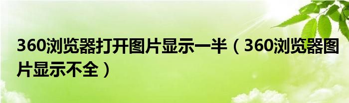 360浏览器打开图片显示一半(360浏览器图片显示不全)