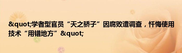 "学者型官员“天之骄子”因腐败遭调查,忏悔使用技术“用错地方”"