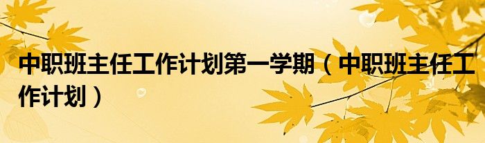 中职班主任工作计划第一学期(中职班主任工作计划)