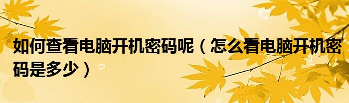 如何查看电脑开机密码呢(怎么看电脑开机密码是多少)