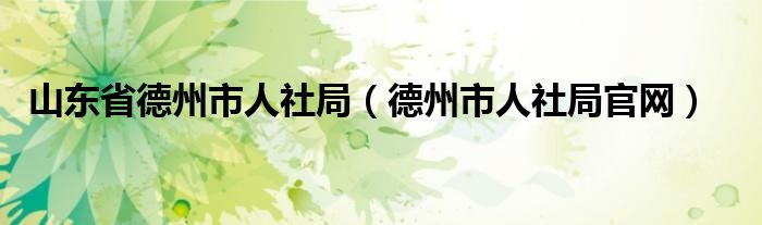 山东省德州市人社局(德州市人社局官网)