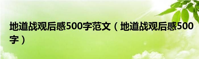 地道战观后感500字范文(地道战观后感500字)