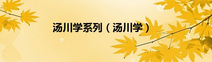 汤川学系列（汤川学）